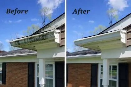 Gutter Cleaning Experts Across Sydney