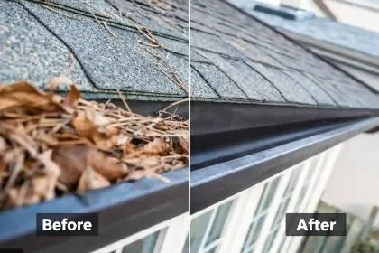 Gutter Cleaning