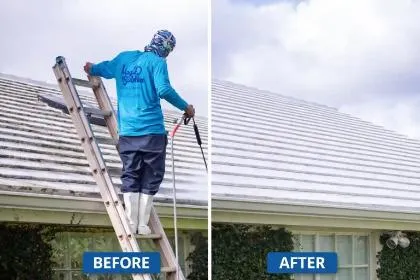 Roof Cleaning