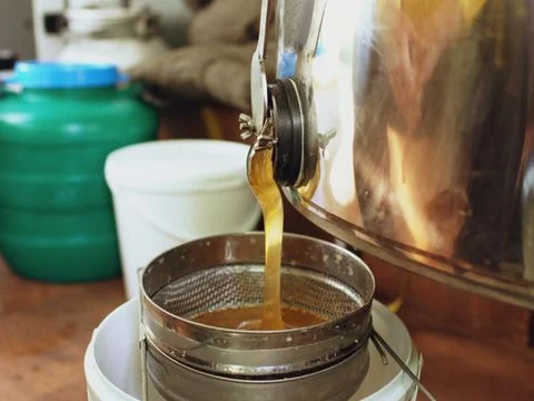 Cooking oil being filtered through a mobile filtration rig beside a commercial fryer