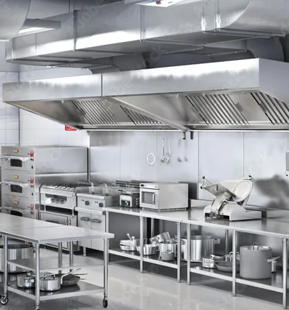 Kitchen appliance cleaning — Surry Hills Sydney professional clean