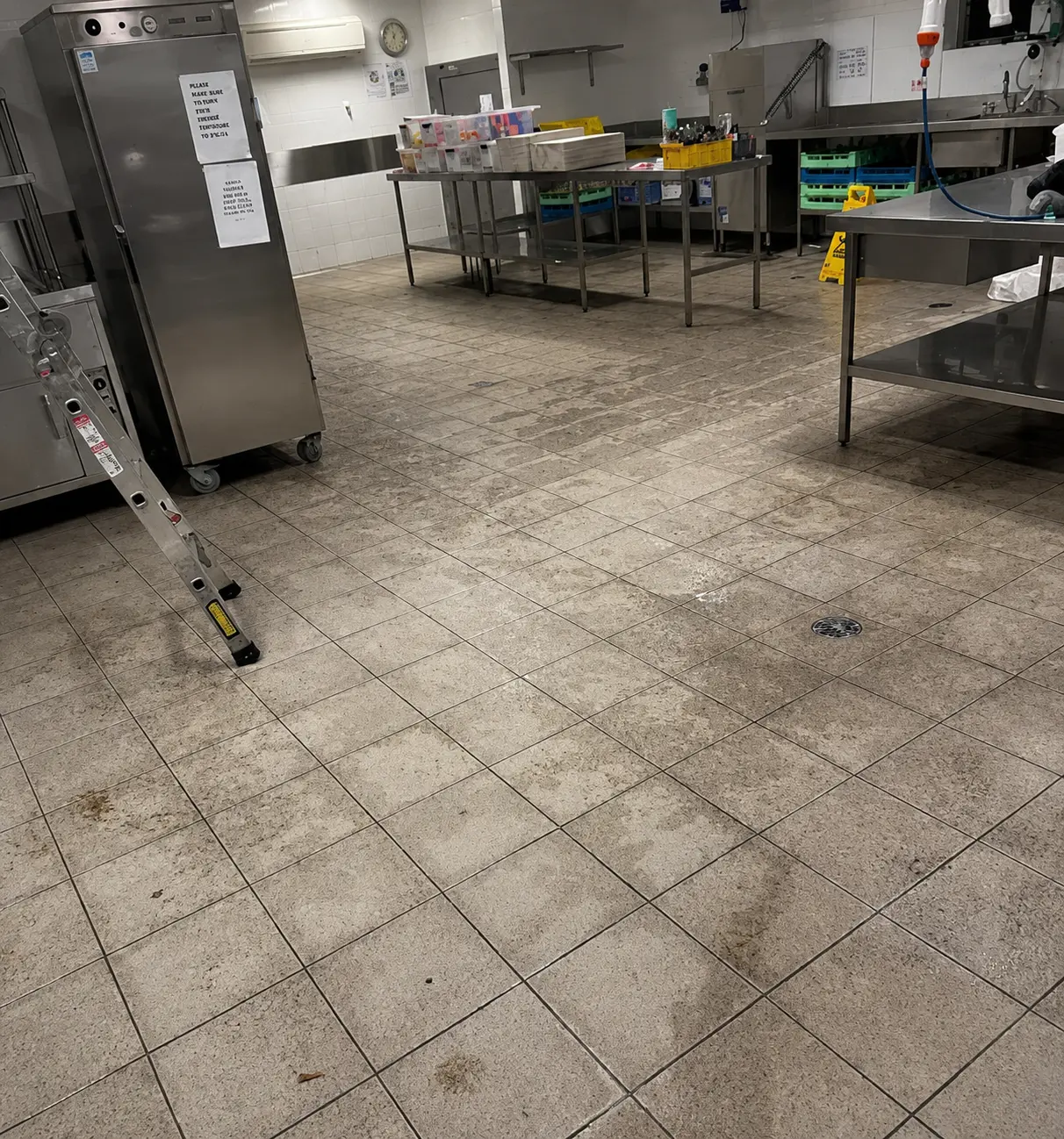Before carpet steam cleaning — stained carpet Chatswood Sydney